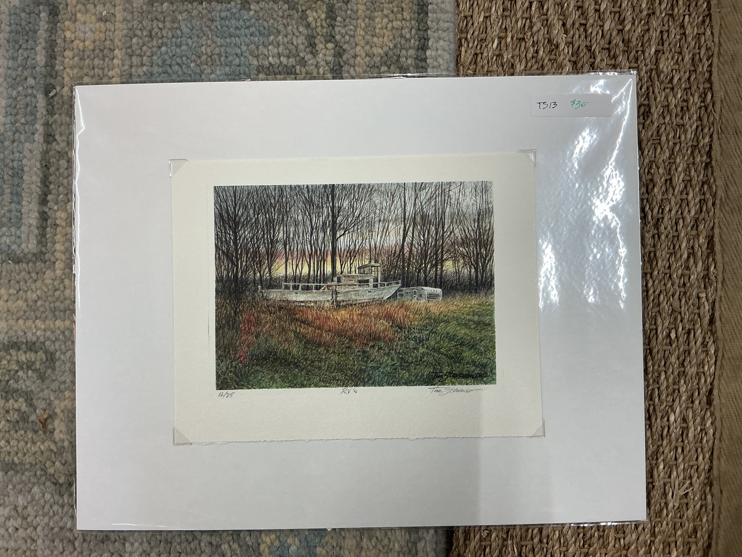 Tim stevenson prints