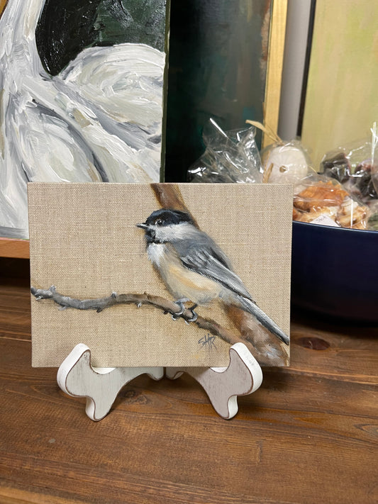 Sally Reid Black capped chickadee