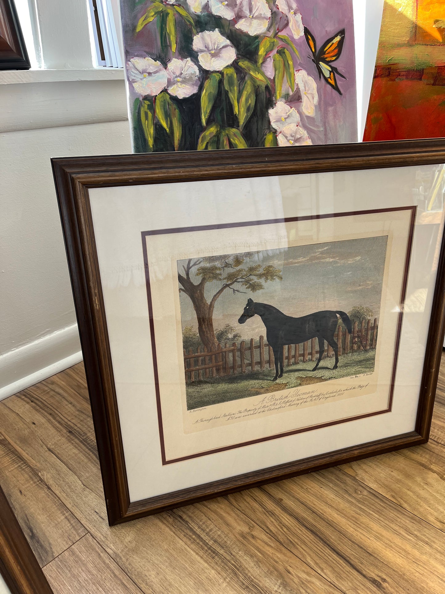Antique Horse Prints in Wooden Frames
