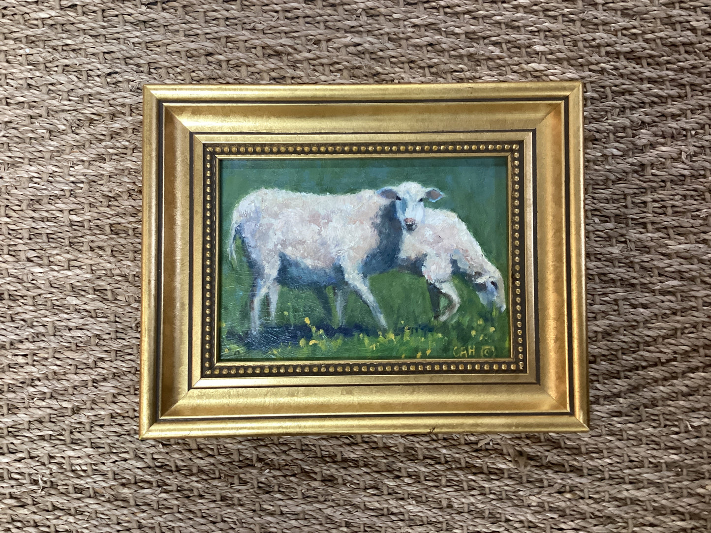 Sheep by Carol Howdyshell