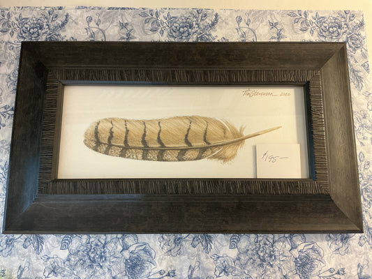 Tim Stevenson Light as a Feather