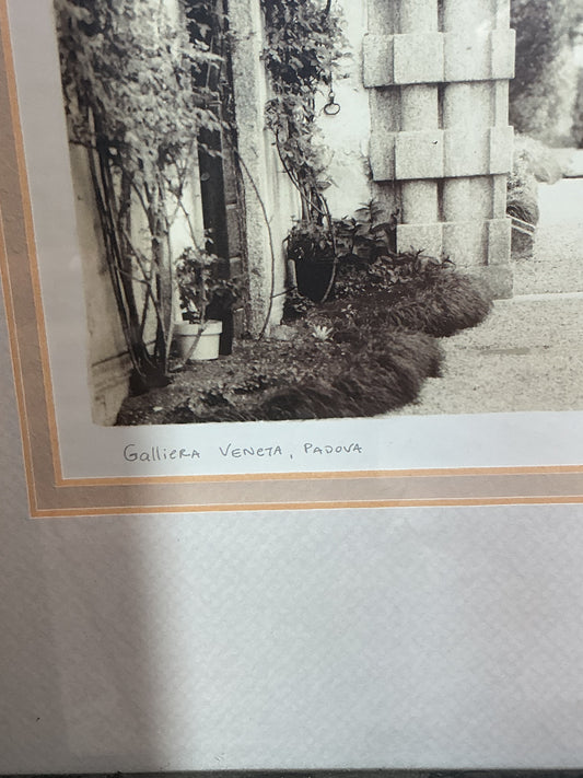 20x20 Framed Photograph Galliera Veneta, Italy