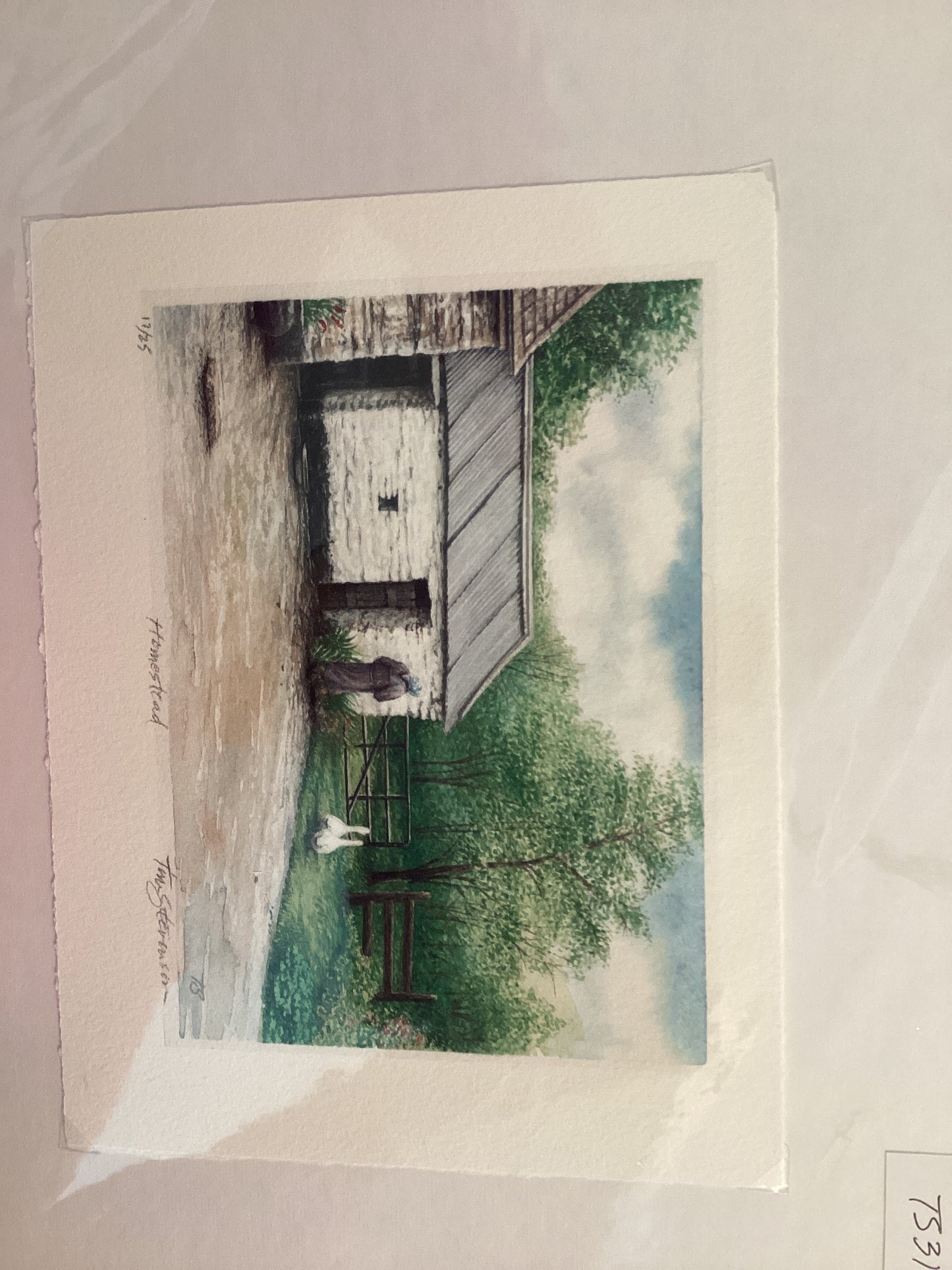 Tim stevenson watercolor prints