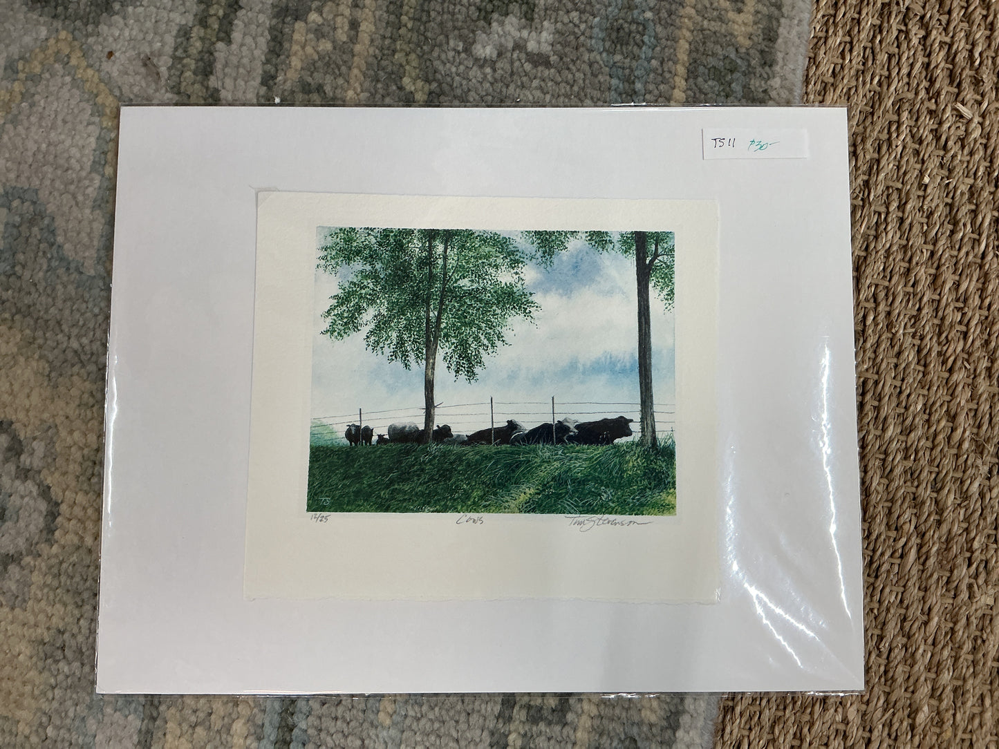 Tim stevenson prints