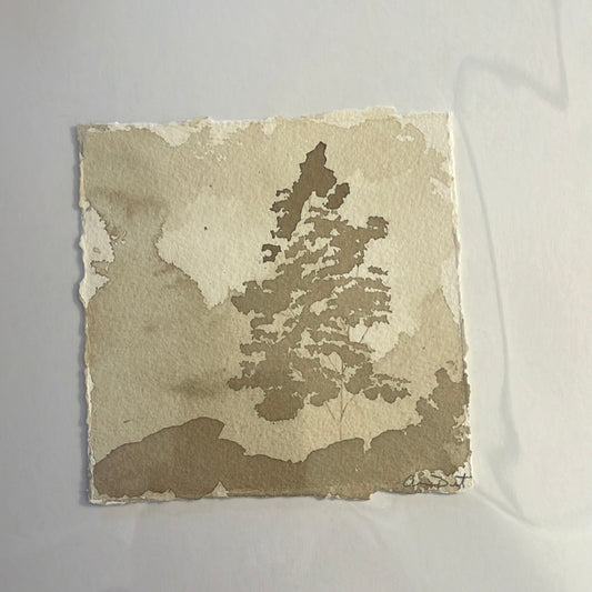 Sepia Trees by Anna Propst
