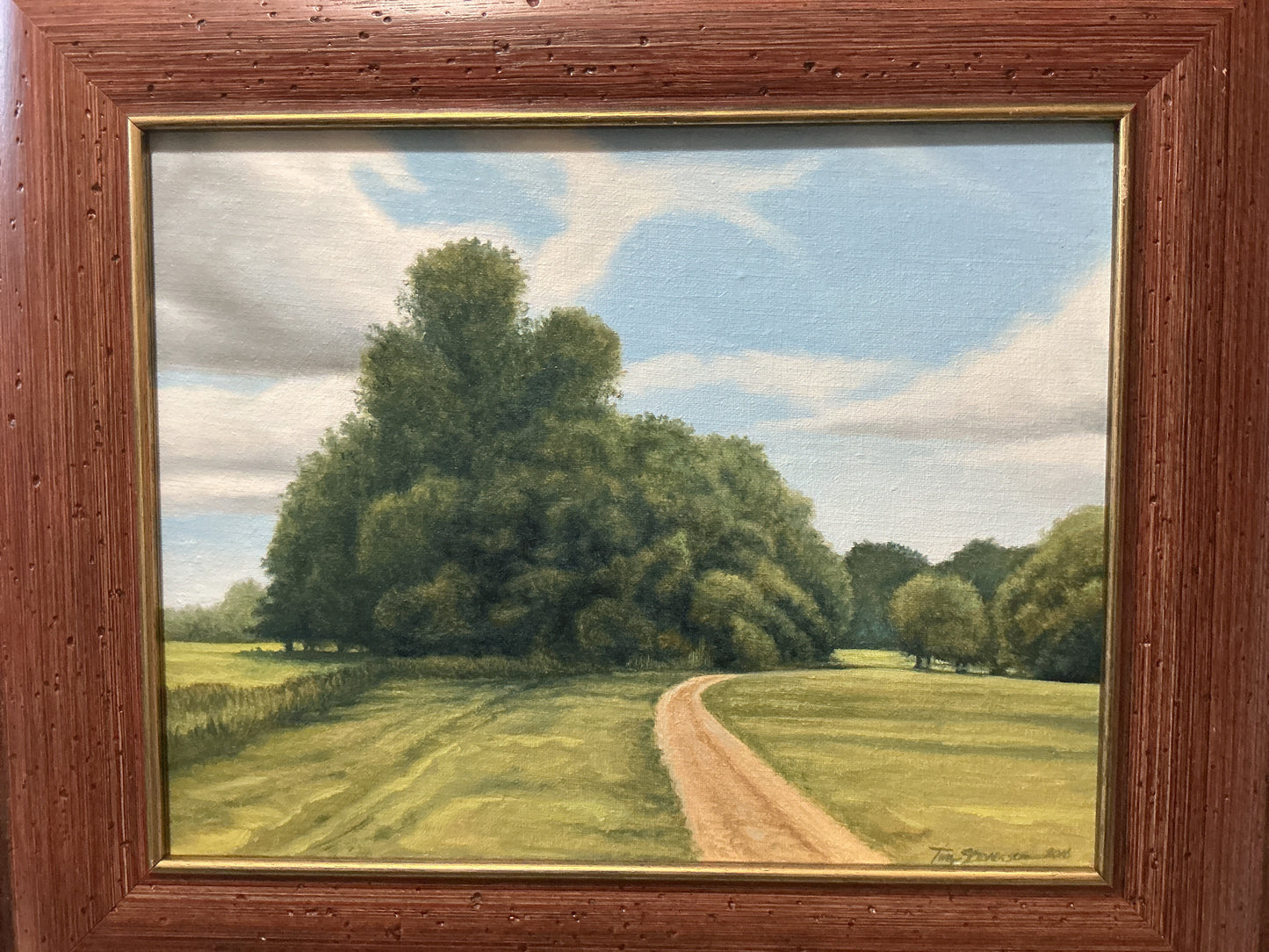 The Path Tim Stevenson