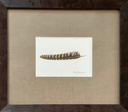 Whippoorwill II, Tim Stevenson Watercolor