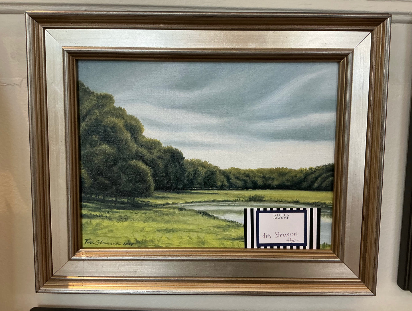 Tim Stevenson Series 1-8