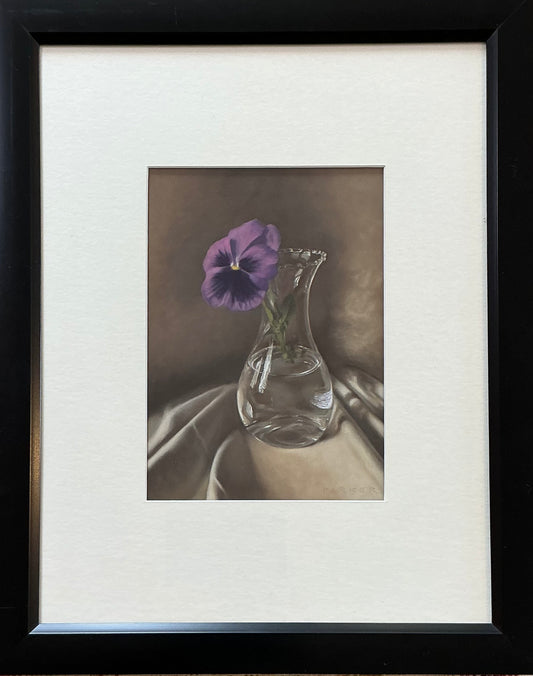 Pansy