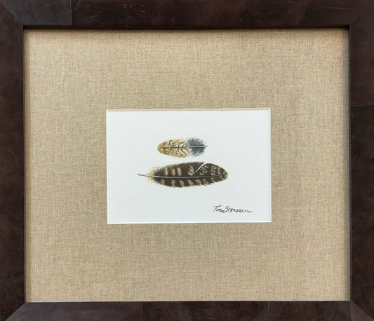 Whippoorwill, Tim Stevenson Watercolor