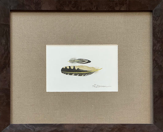 Yellow-Shafted Flicker III, Tim Stevenson Watercolor