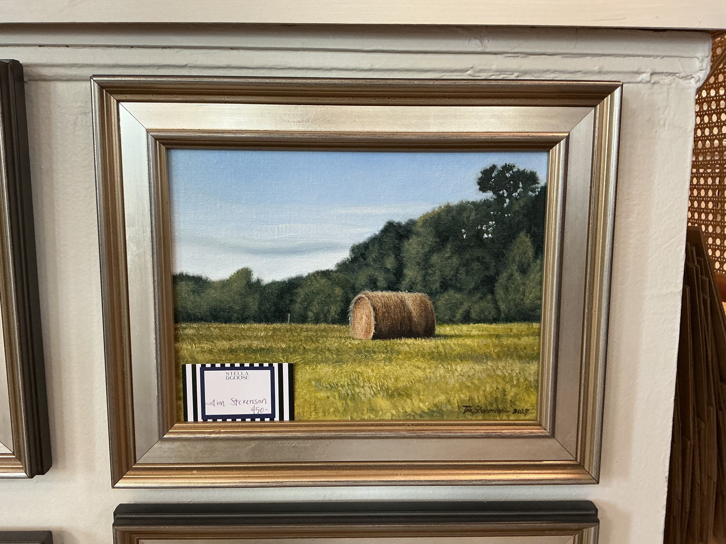 Tim Stevenson Series 1-8