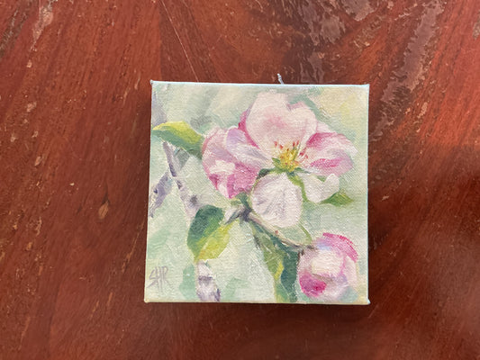 Apple Blossom