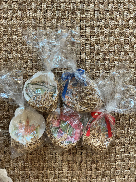 L SEC Shells by Marshall
