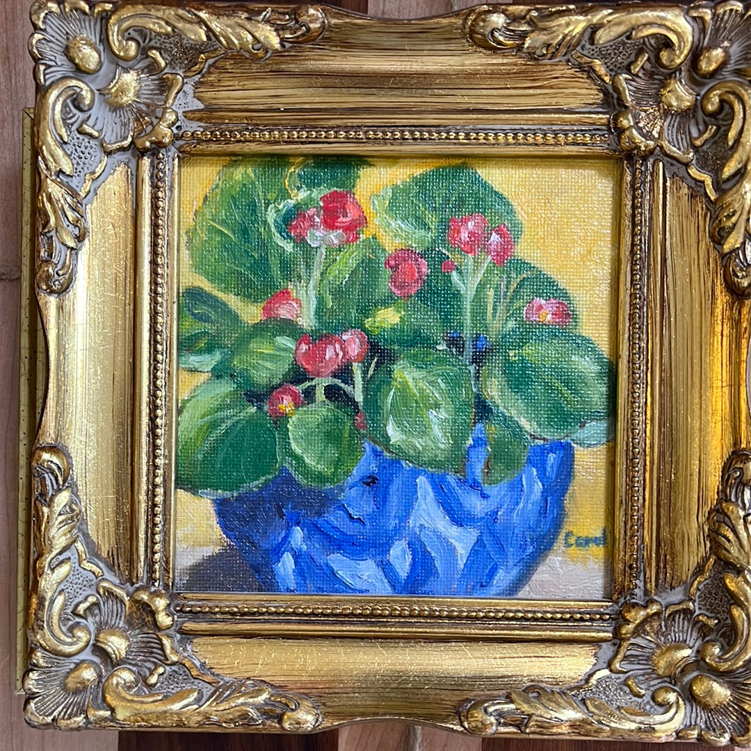 Begonia in Blue by Carol Howdyshell