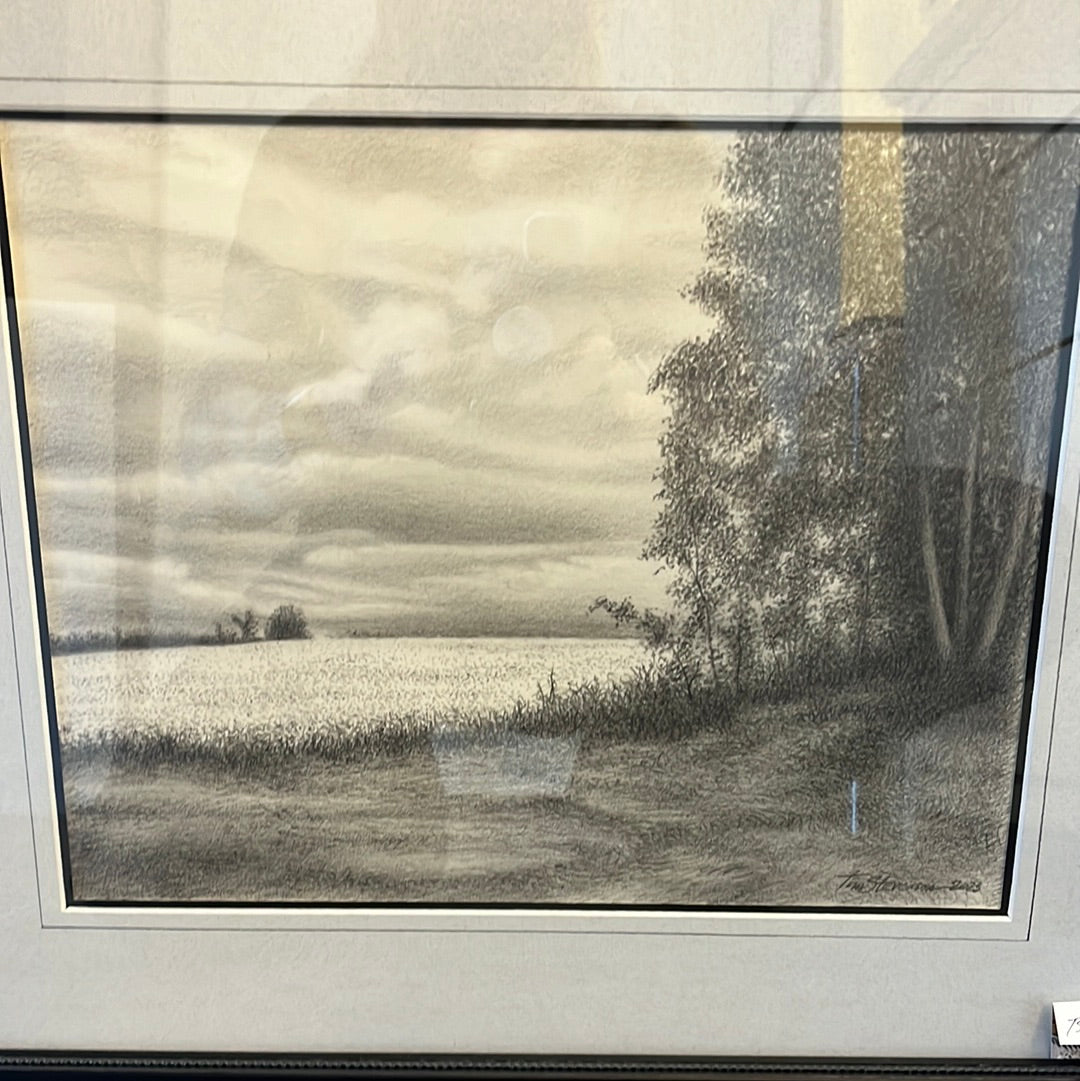 Landscapes by Tim Stevenson