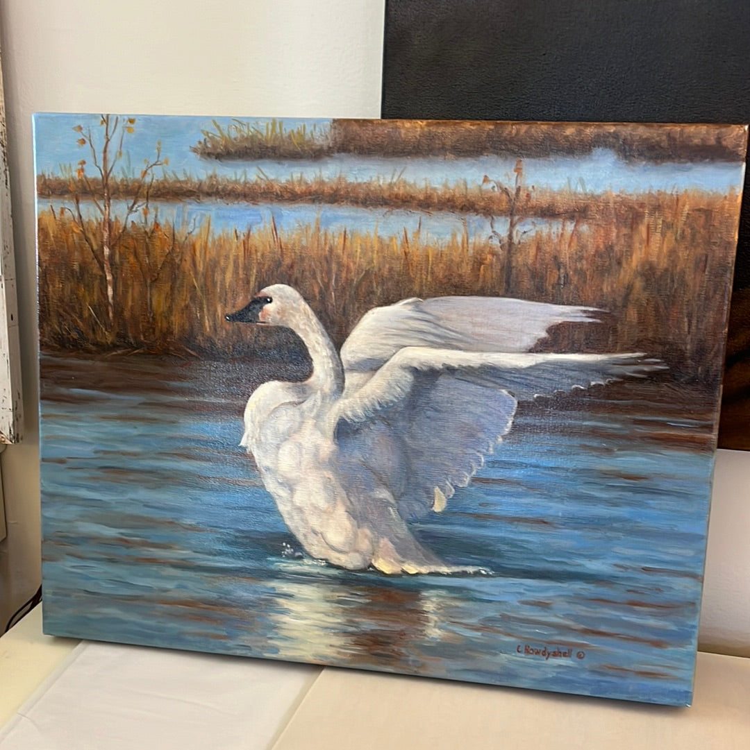Swan by Carol Howdyshell