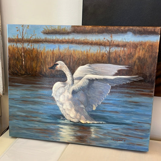 Swan by Carol Howdyshell