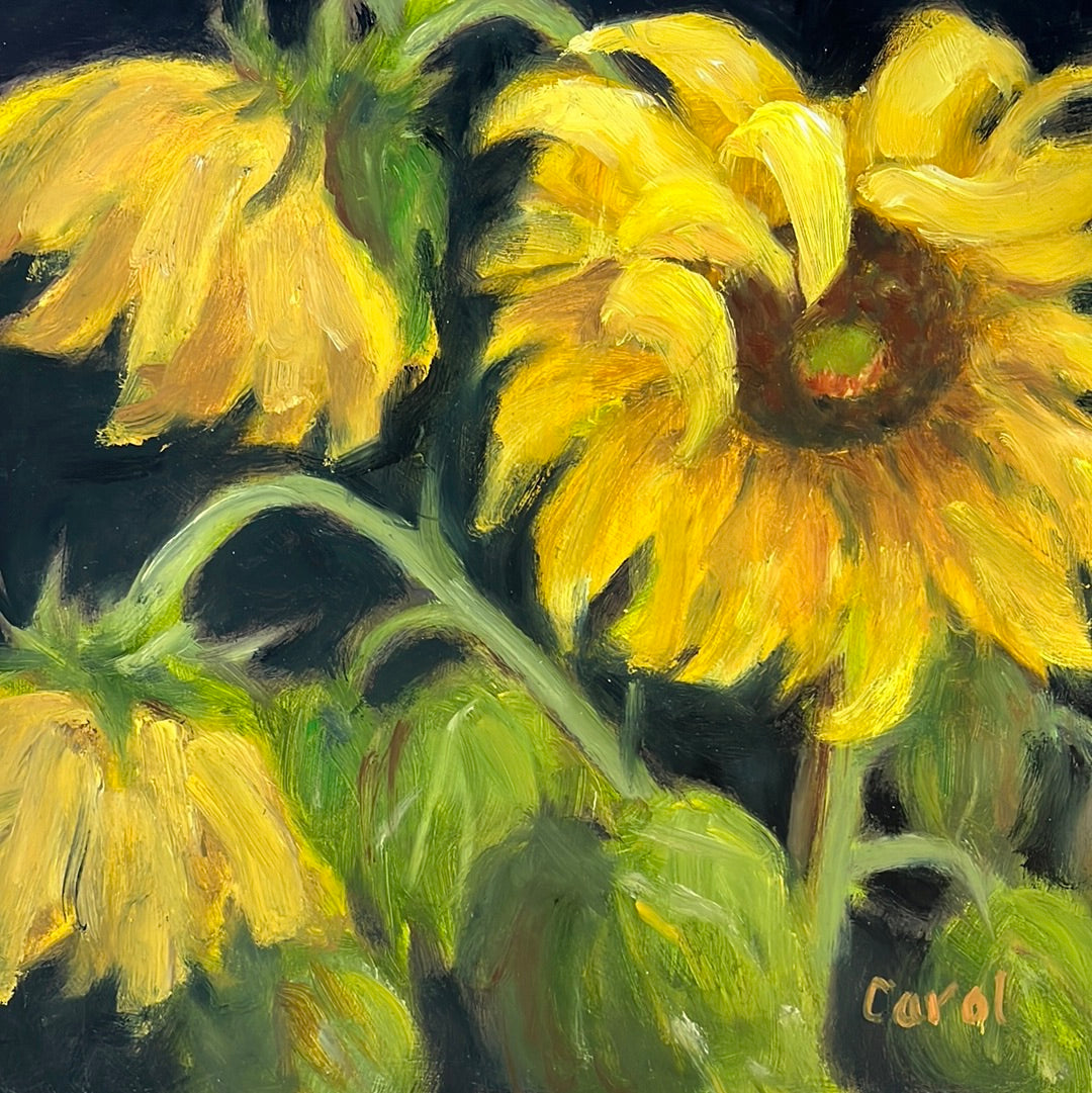 Sunflowers by Carol Howdyshell