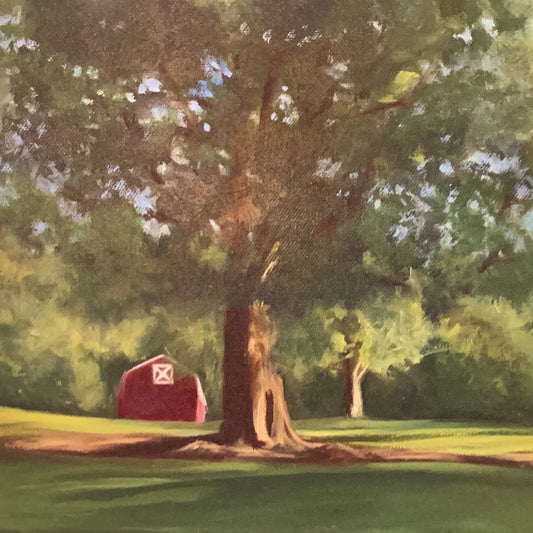 Deibert Park by Sally Reid