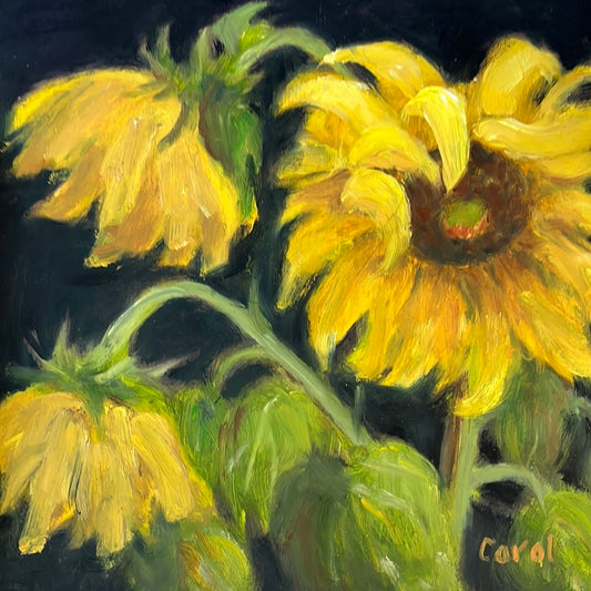 Sunflowers by Carol Howdyshell