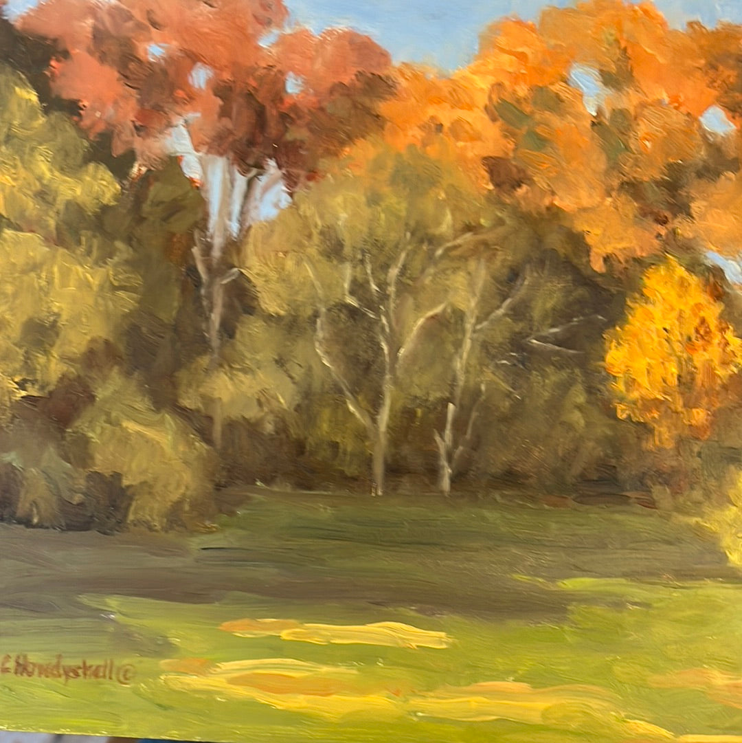 Carol Howdyshell: Various 9x12 Scenes