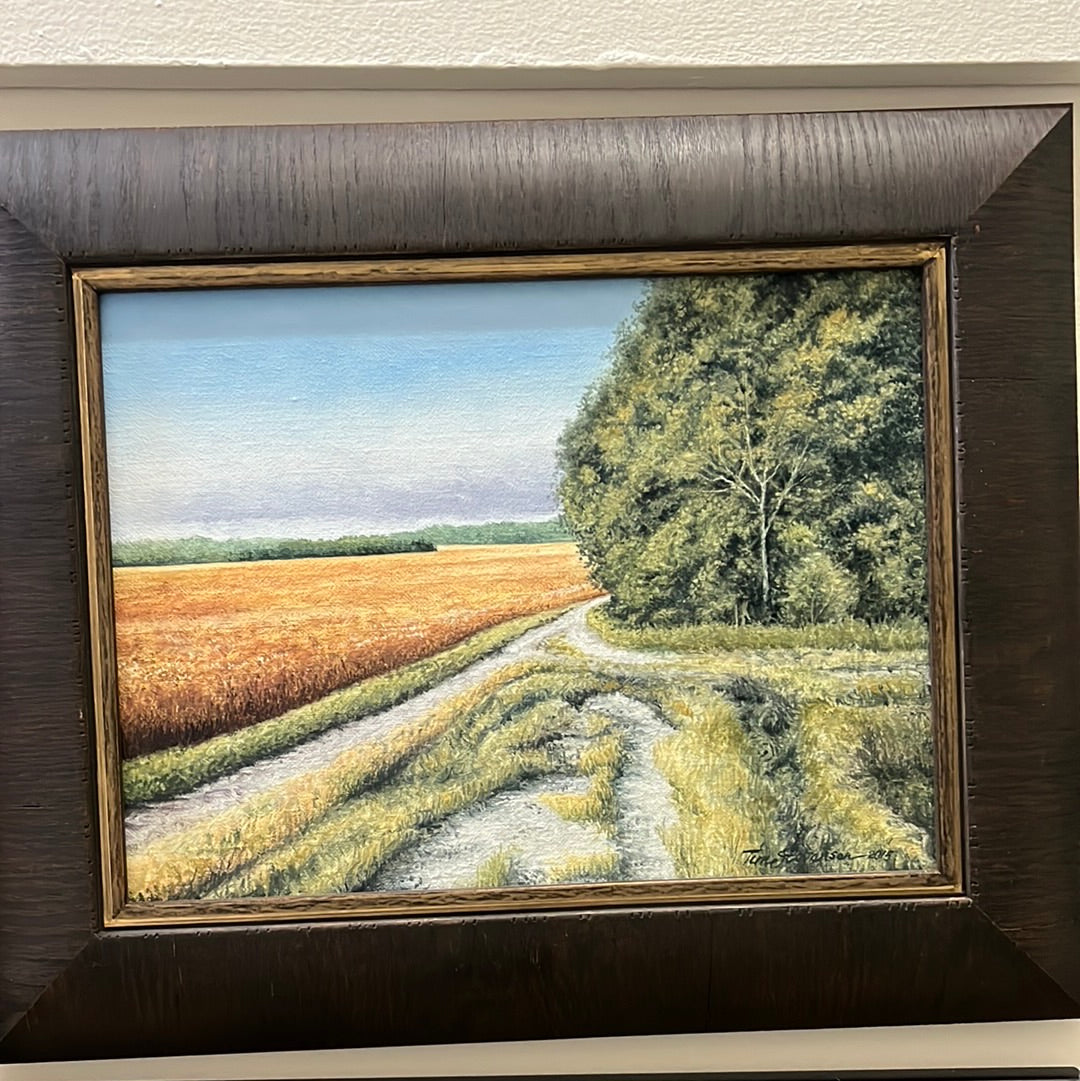 Field of Gold by Tim Stevenson