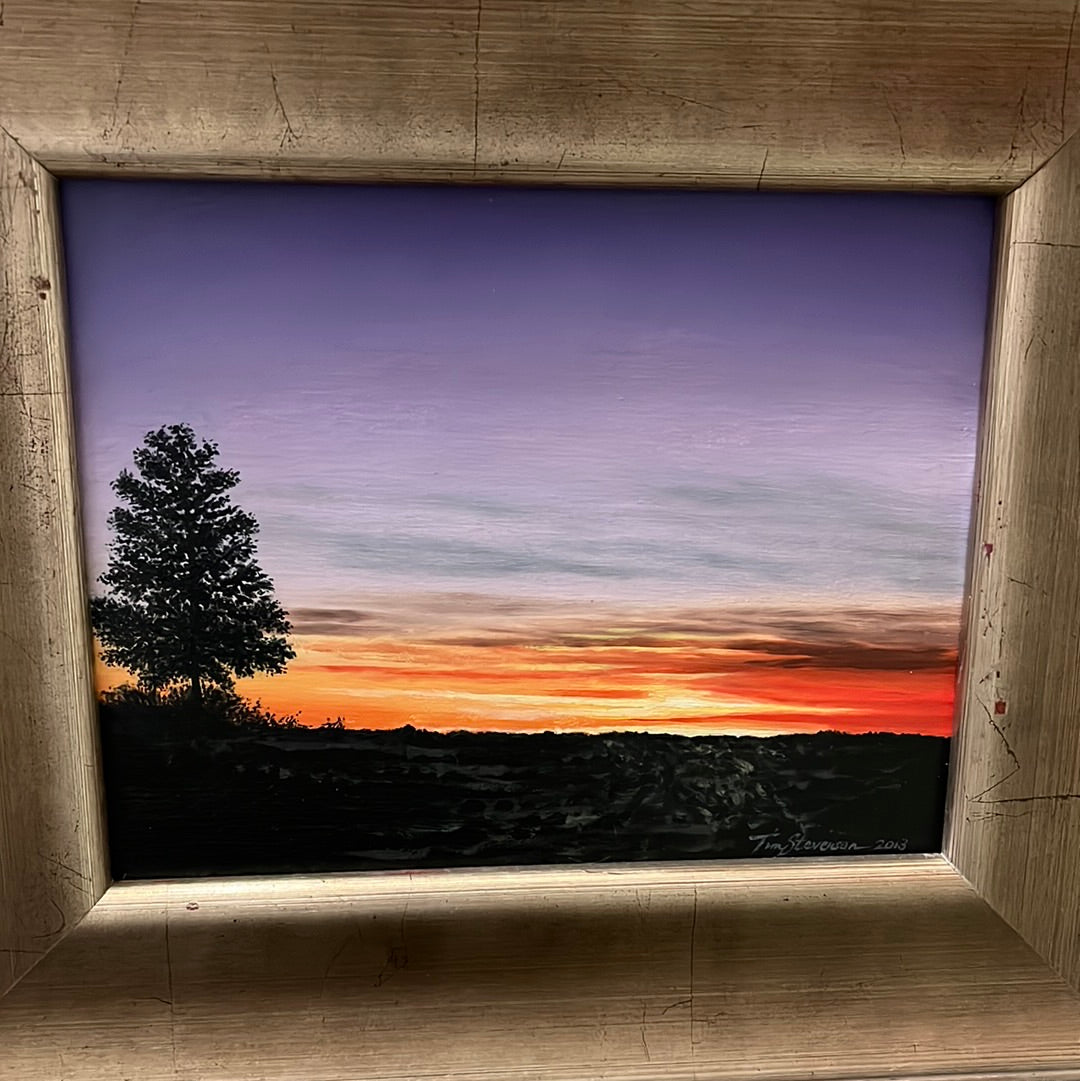 Purple Sunset by Tim Stevenson