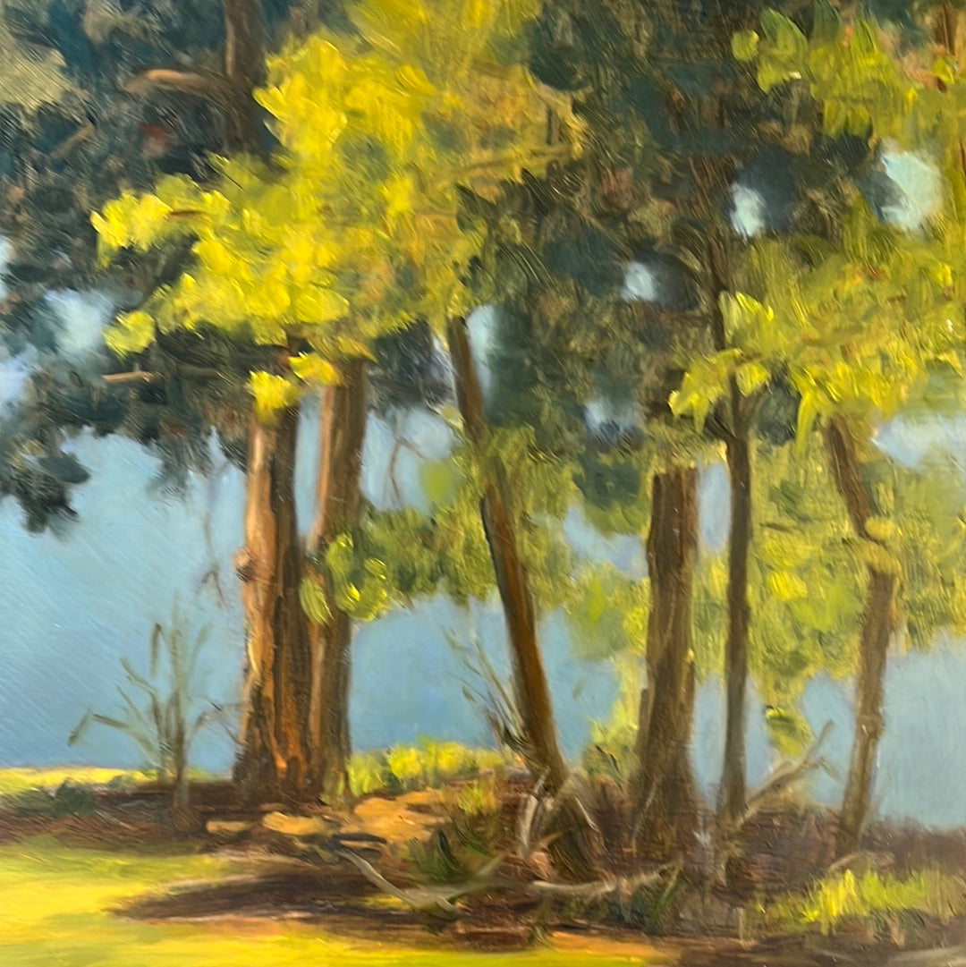 Carol Howdyshell: Various 9x12 Scenes