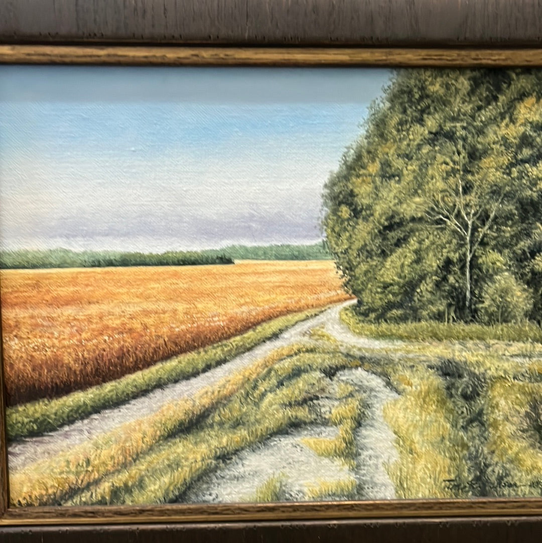 Field of Gold by Tim Stevenson