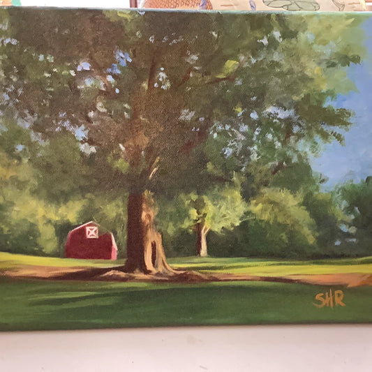 Deibert Park by Sally Reid