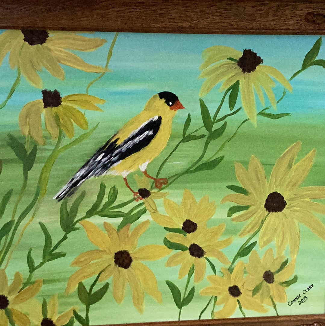 Yellow Goldfinch by Connie Clark