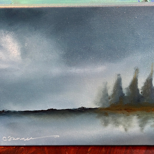 Calming Coastline by Cindy Tanner