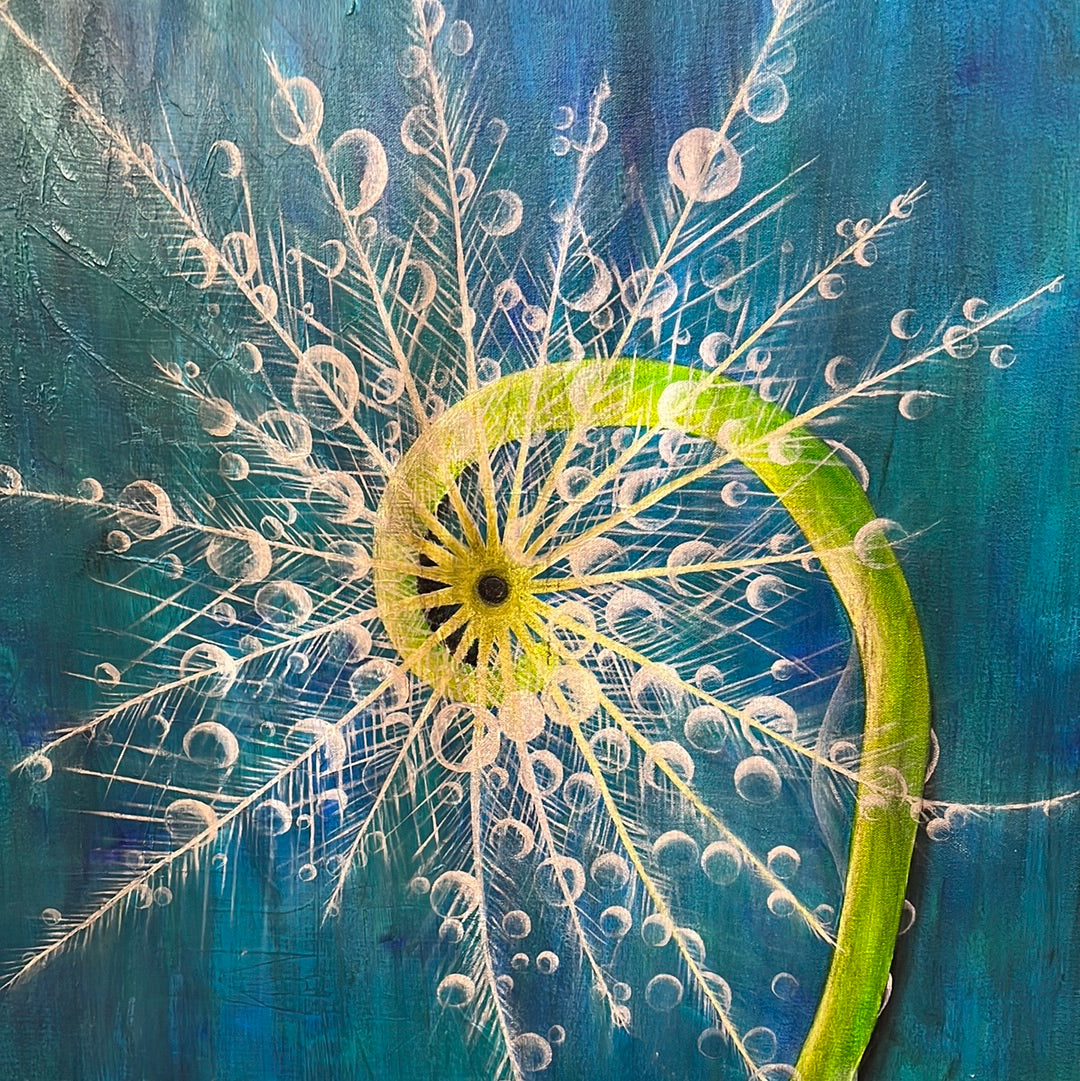 Dandelion by Julia Gray