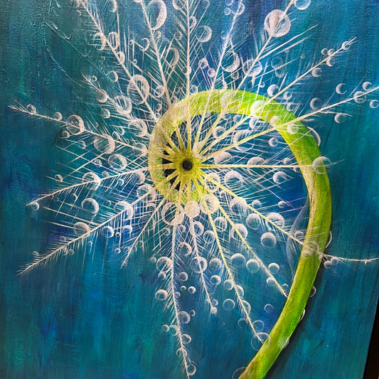 Dandelion by Julia Gray