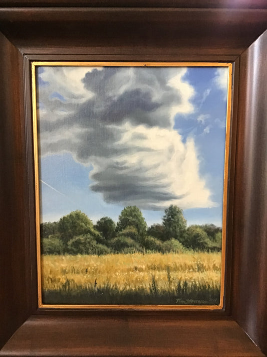 Tim Stevenson “Landscape with Clouds”